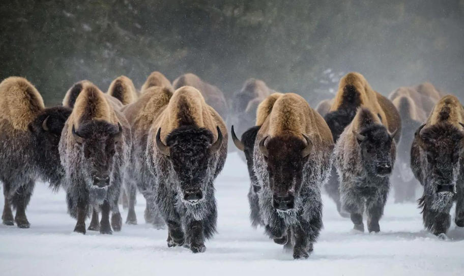 浙江华乐电子有限公司轮播图2